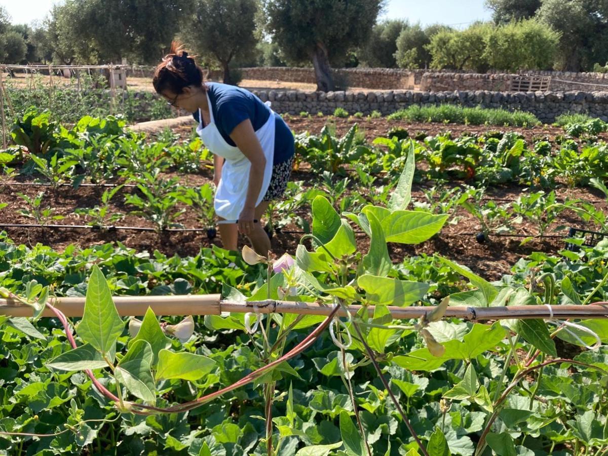 Boutique Hotel Masseria Sottomasi Savelletri Luaran gambar