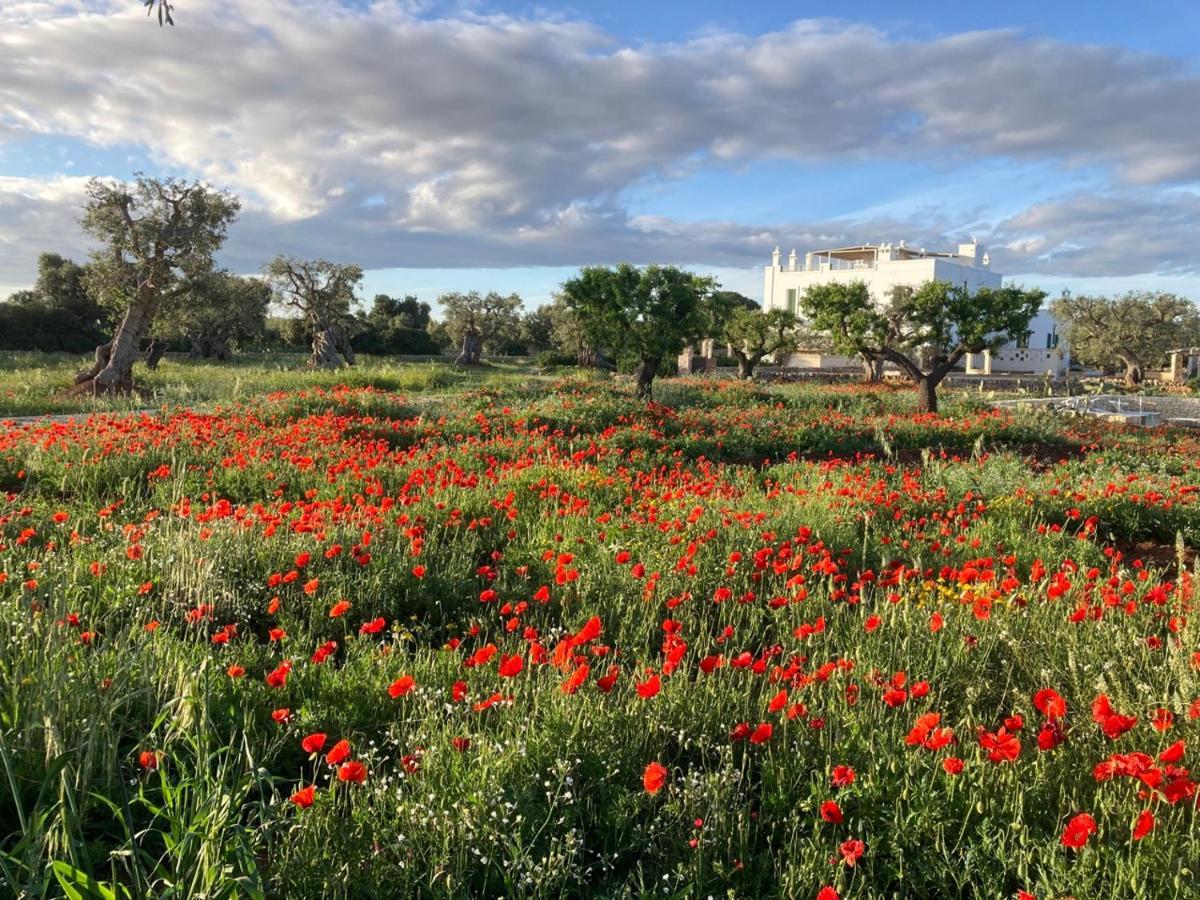 Boutique Hotel Masseria Sottomasi Savelletri Luaran gambar
