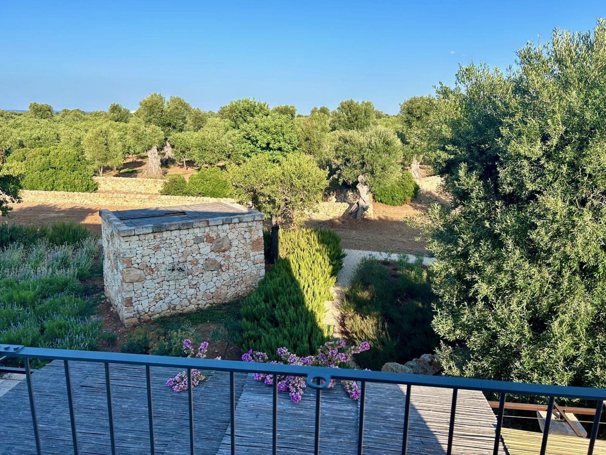 Boutique Hotel Masseria Sottomasi Savelletri Luaran gambar