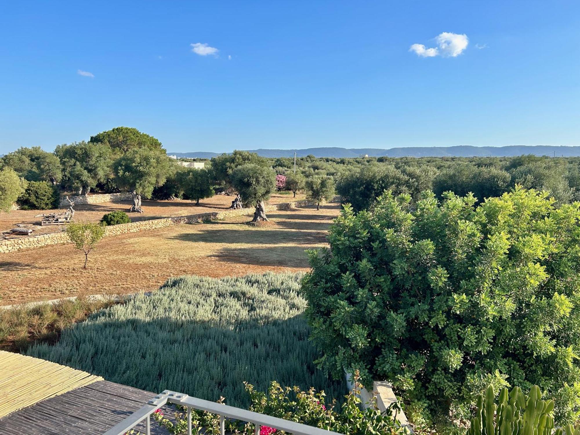 Boutique Hotel Masseria Sottomasi Savelletri Luaran gambar
