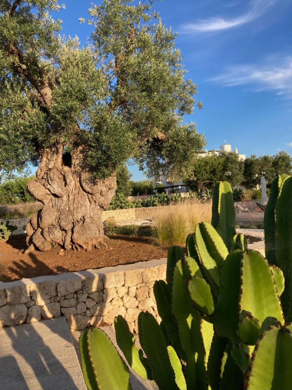 Boutique Hotel Masseria Sottomasi Savelletri Luaran gambar