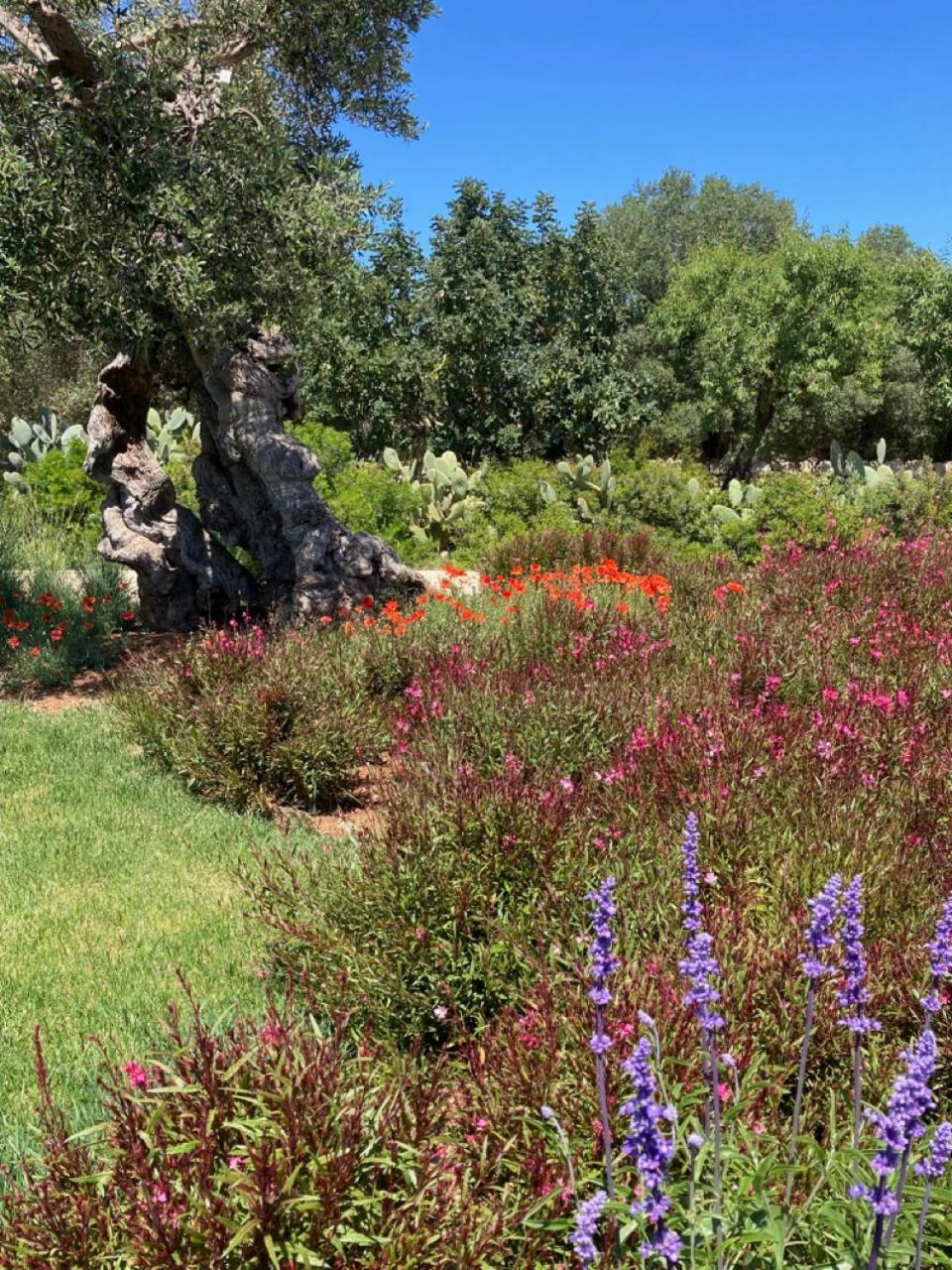 Boutique Hotel Masseria Sottomasi Savelletri Luaran gambar