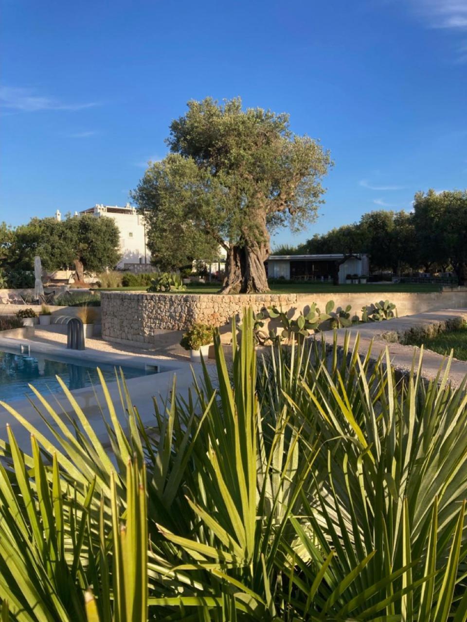 Boutique Hotel Masseria Sottomasi Savelletri Luaran gambar