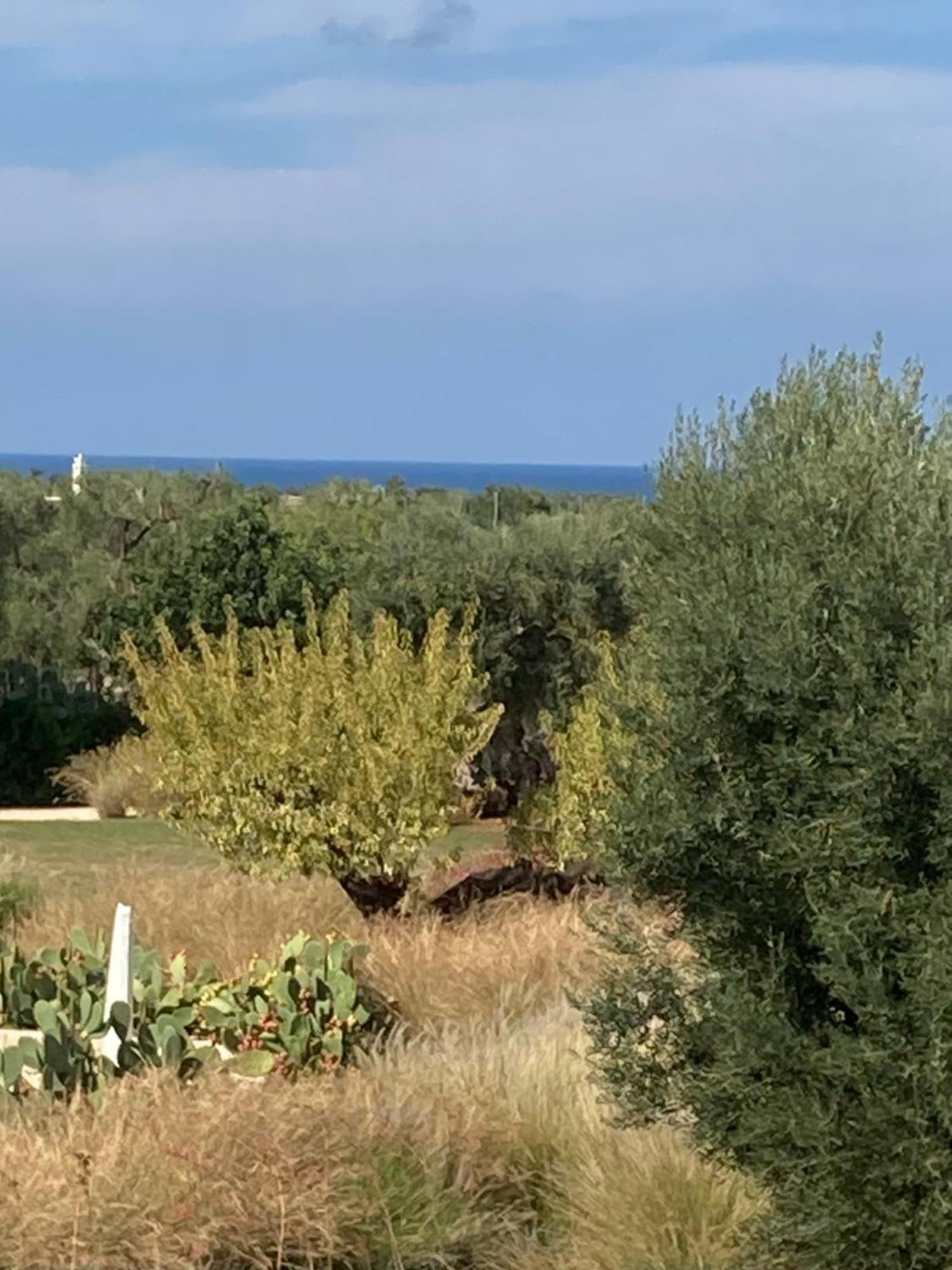 Boutique Hotel Masseria Sottomasi Savelletri Luaran gambar